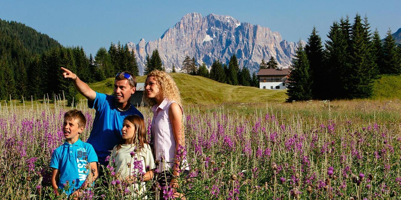 Casa Alpina Sacro Cuore Canale dʼAgordo Екстериор снимка