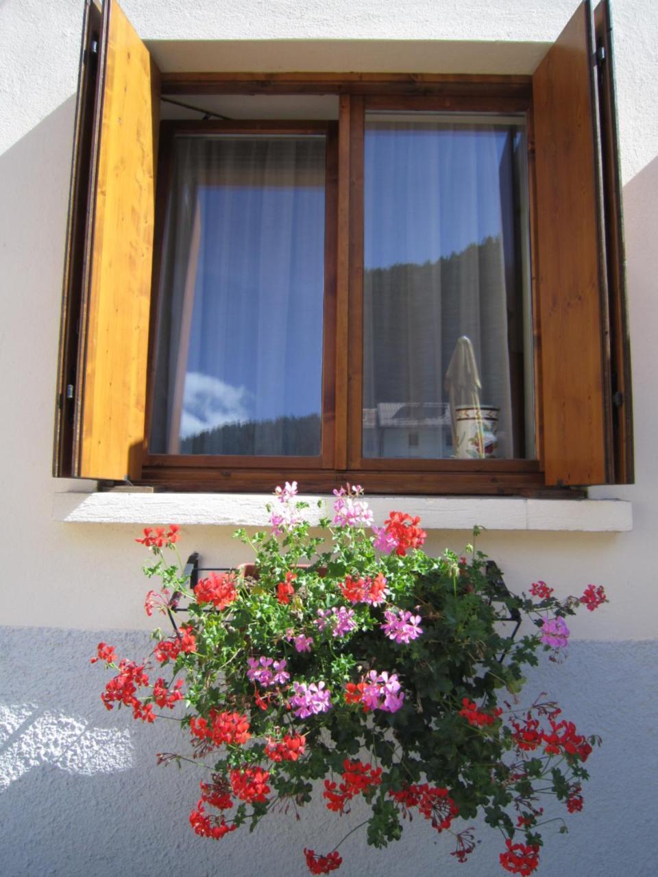 Casa Alpina Sacro Cuore Canale dʼAgordo Екстериор снимка